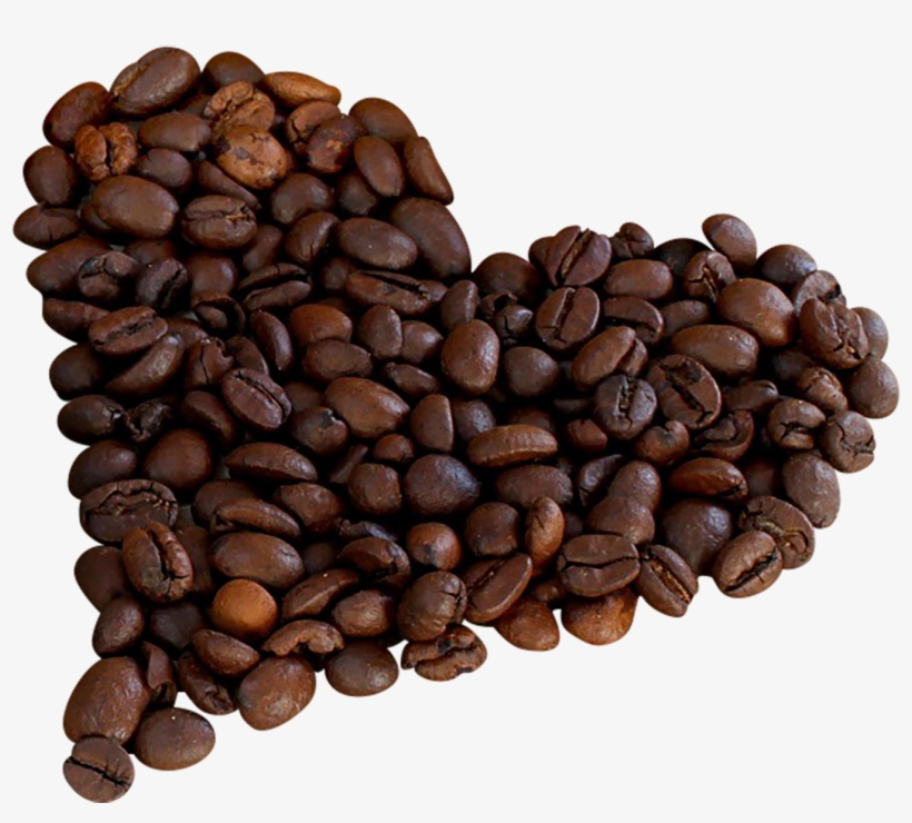 Detail Coffee Bean Transparent Background Nomer 21