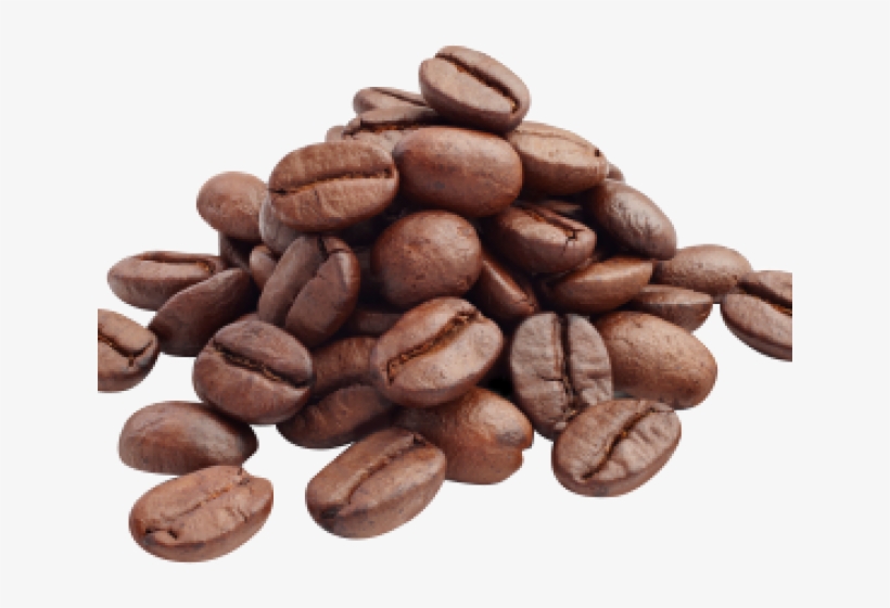 Detail Coffee Bean Transparent Background Nomer 29