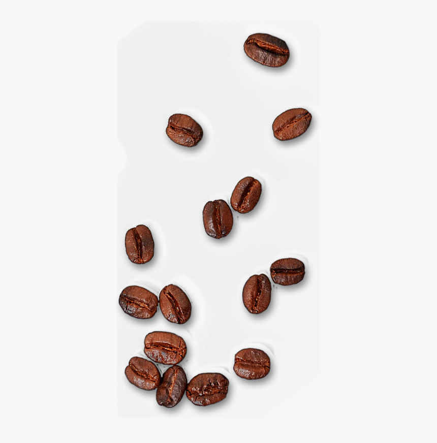 Detail Coffee Bean Transparent Background Nomer 30