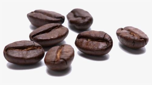 Detail Coffee Bean Transparent Background Nomer 32