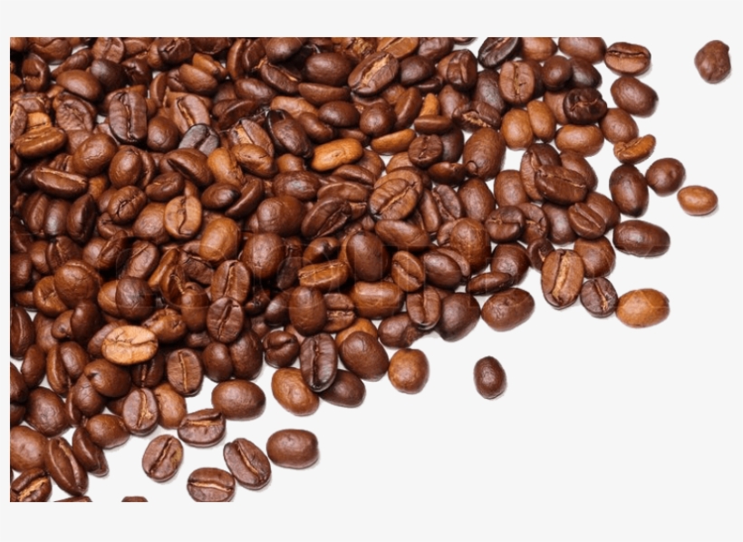 Detail Coffee Bean Transparent Background Nomer 4