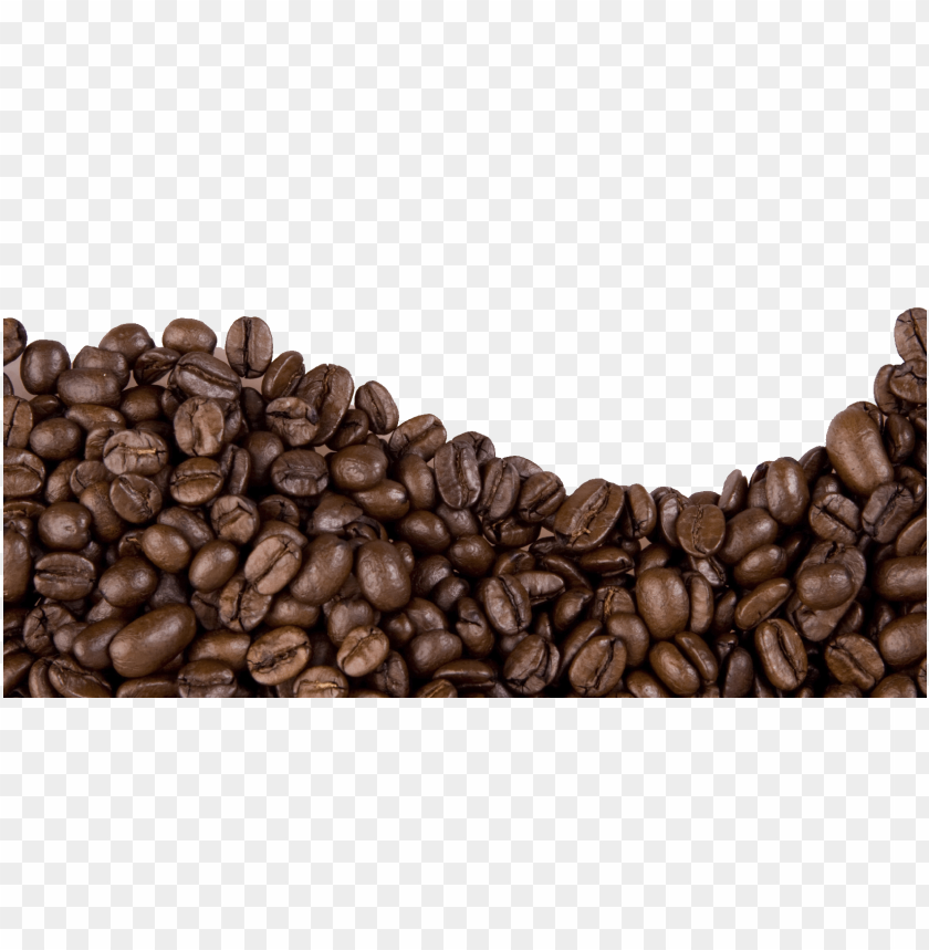 Detail Coffee Bean Transparent Background Nomer 45