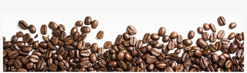 Detail Coffee Bean Transparent Background Nomer 46