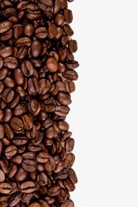 Detail Coffee Bean Transparent Background Nomer 48