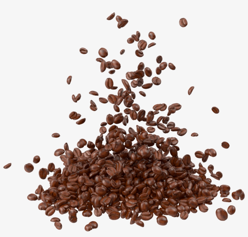 Detail Coffee Bean Transparent Background Nomer 49