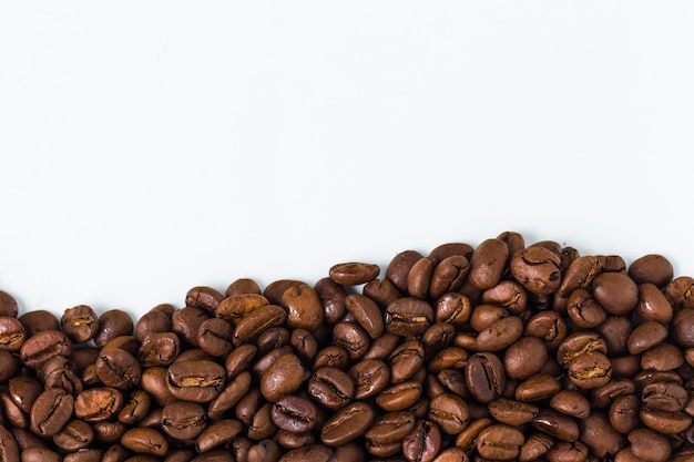 Detail Coffee Bean Vector Free Nomer 55