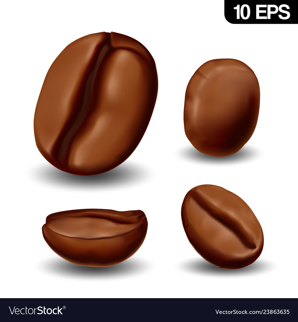 Detail Coffee Bean Vector Free Nomer 57