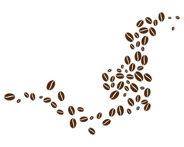 Detail Coffee Bean Vector Free Nomer 10