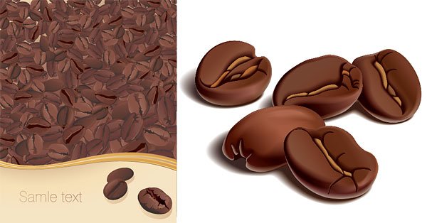 Detail Coffee Bean Vector Free Download Nomer 18