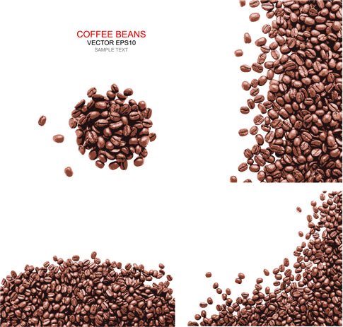 Detail Coffee Bean Vector Free Download Nomer 9