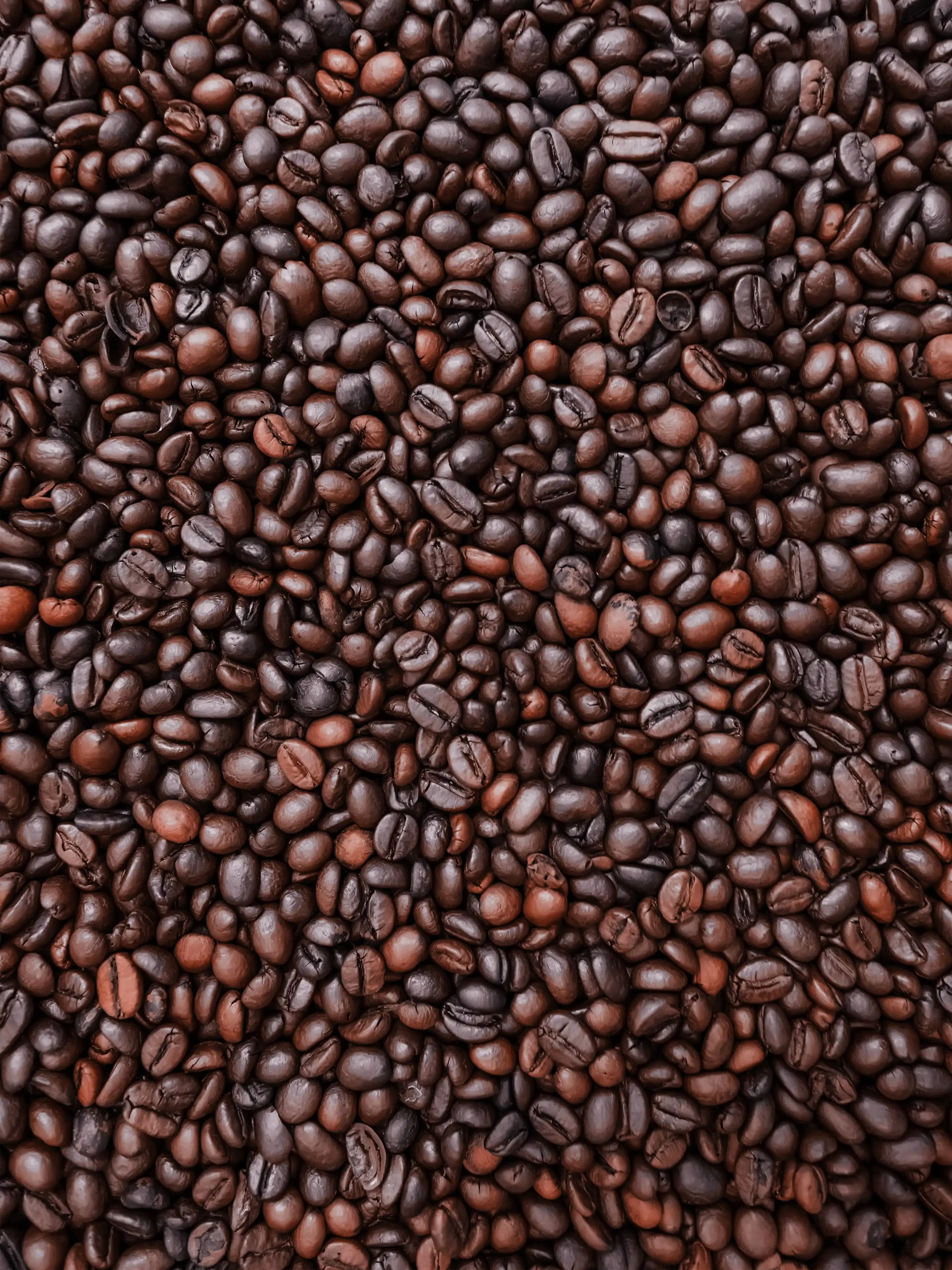 Detail Coffee Bean Wallpaper Nomer 46