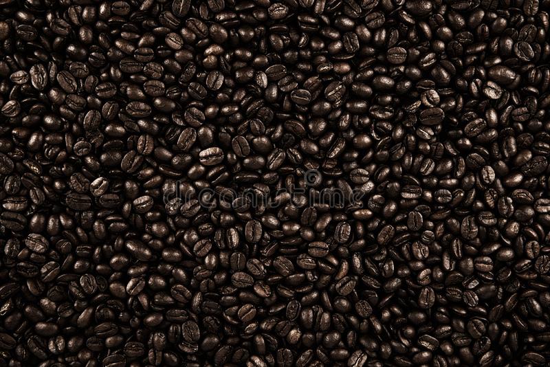 Detail Coffee Beans Background Nomer 42