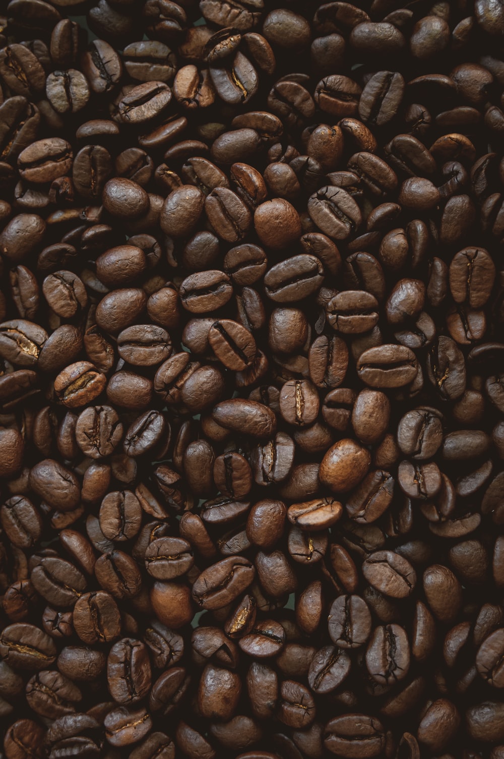 Detail Coffee Beans Background Image Nomer 21