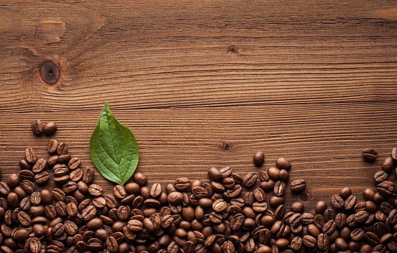 Detail Coffee Beans Background Image Nomer 32