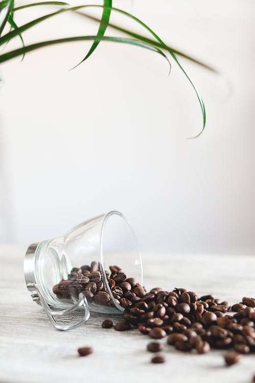 Detail Coffee Beans Background Image Nomer 35