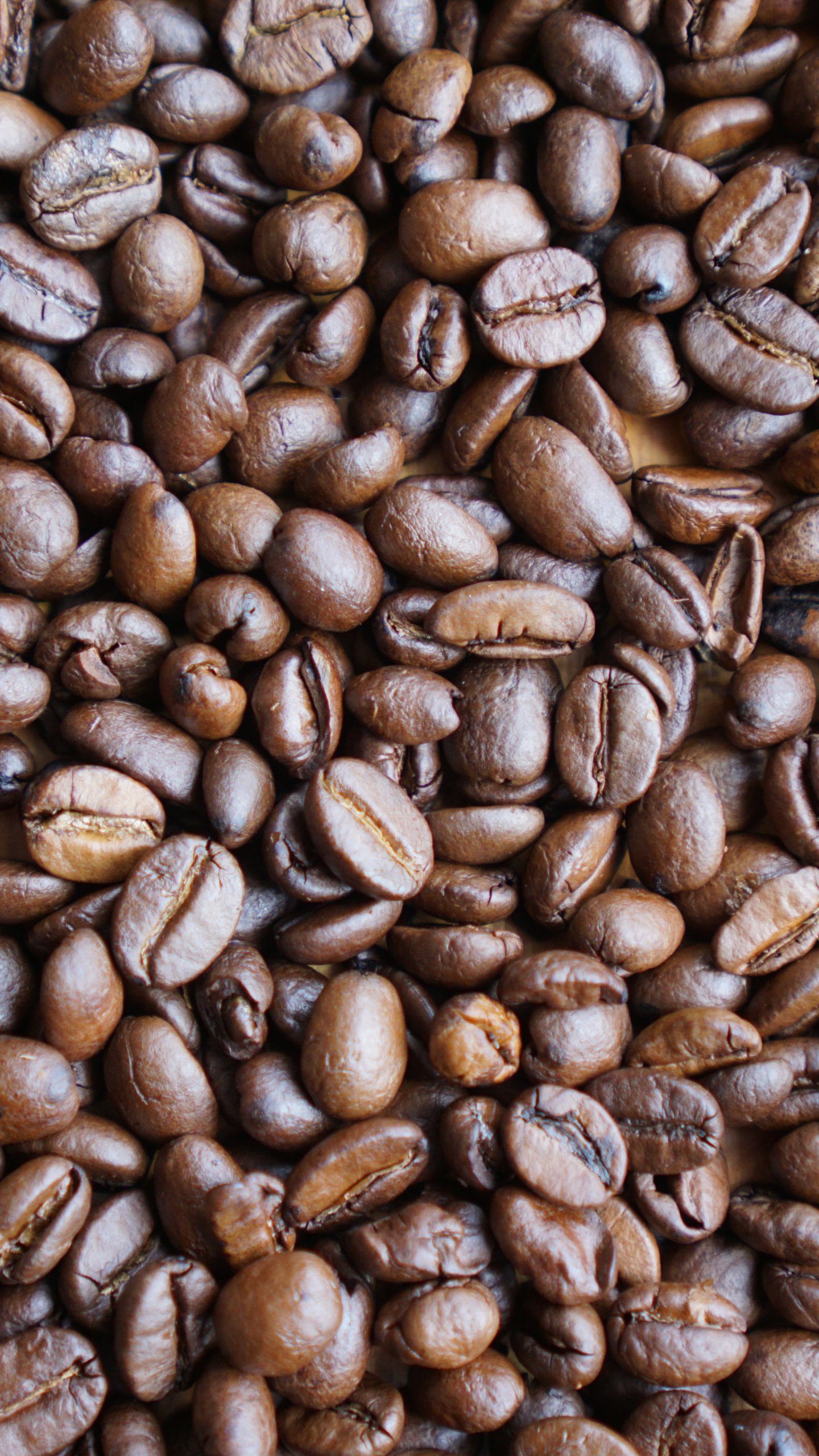 Detail Coffee Beans Background Image Nomer 51