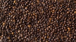 Detail Coffee Beans Background Image Nomer 55