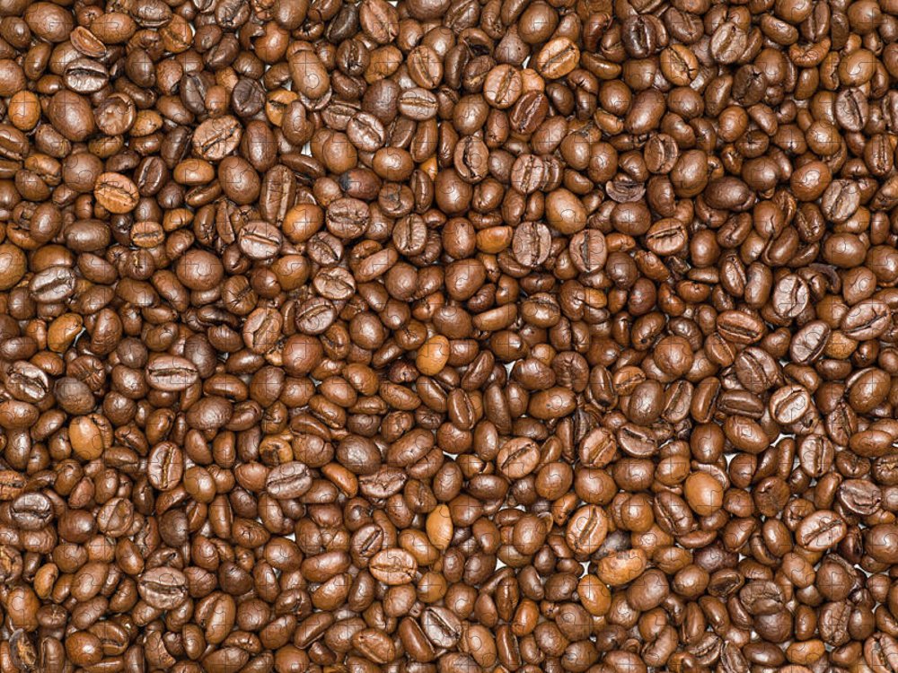 Detail Coffee Beans Background Image Nomer 9