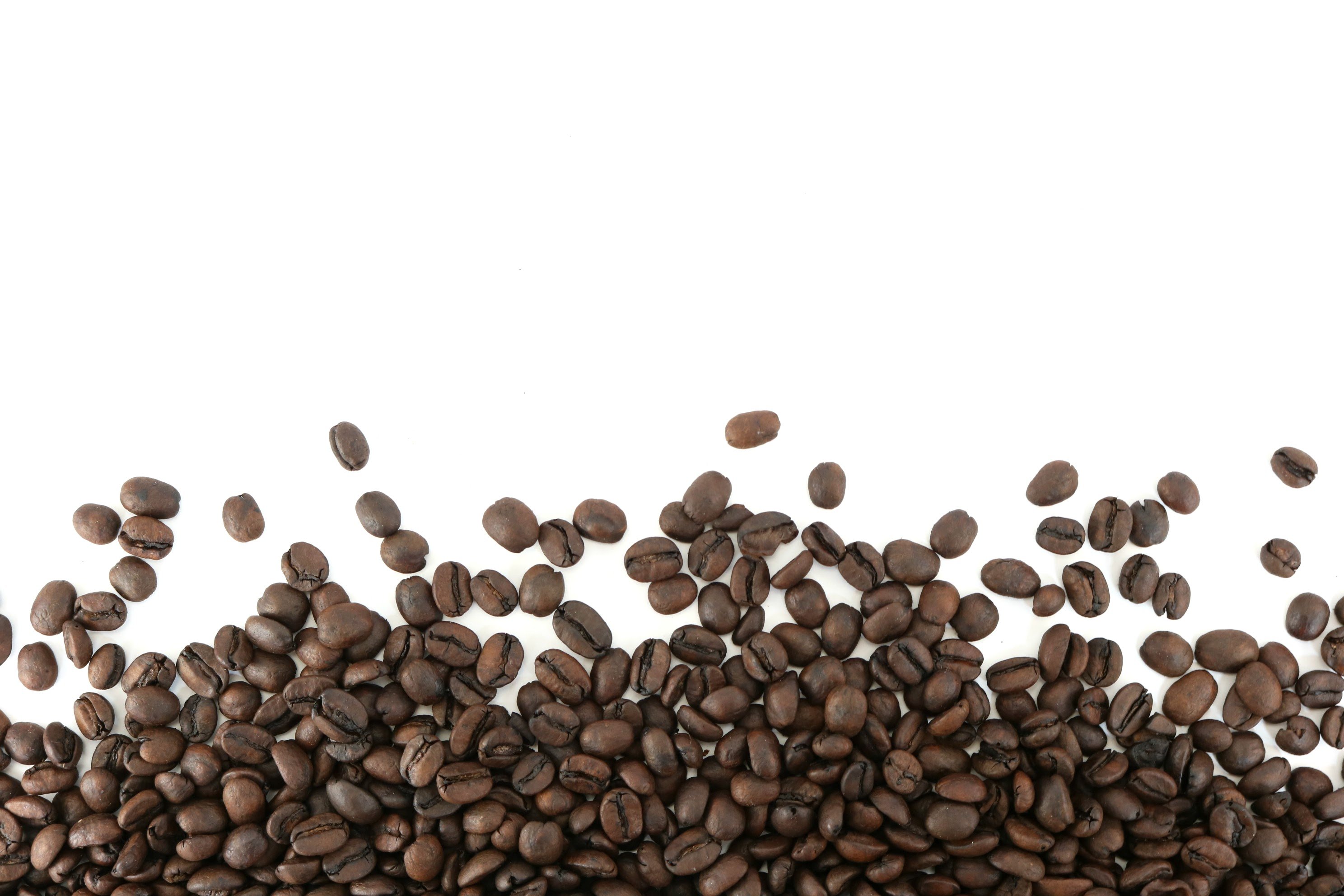 Detail Coffee Beans Background Image Nomer 10