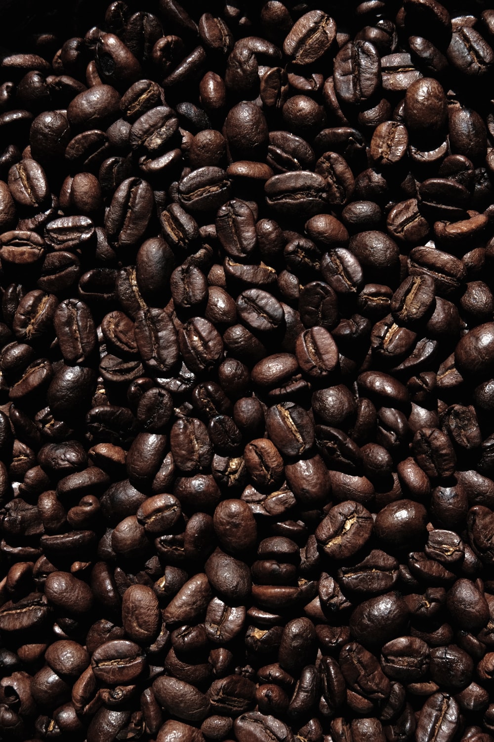 Detail Coffee Beans Hd Nomer 20