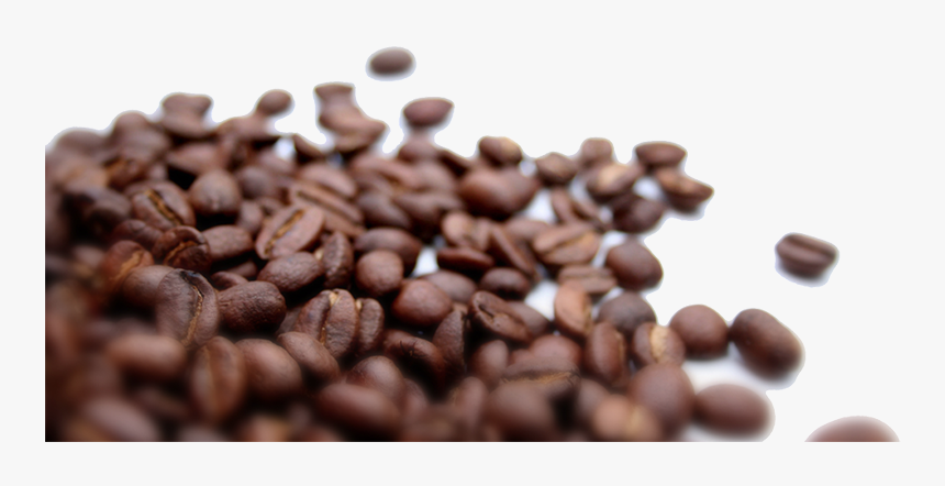 Detail Coffee Beans Hd Nomer 29