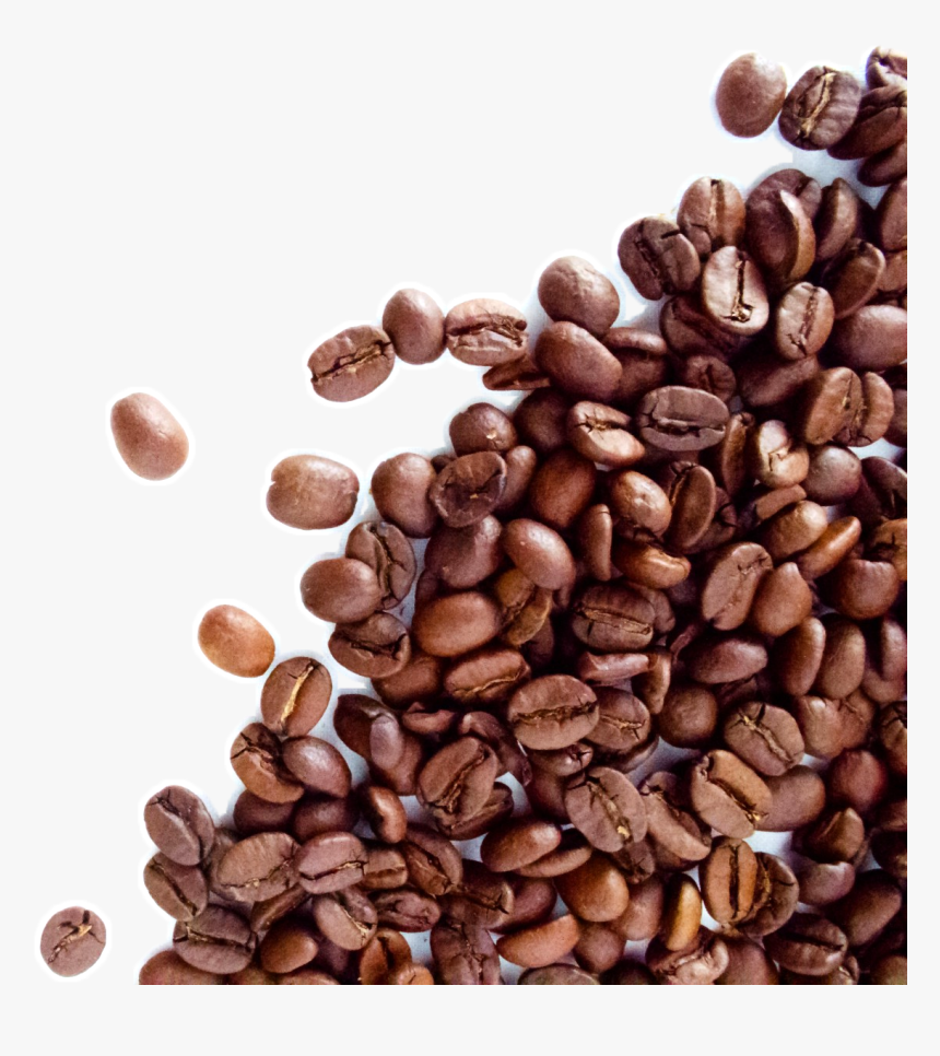 Detail Coffee Beans Hd Nomer 33