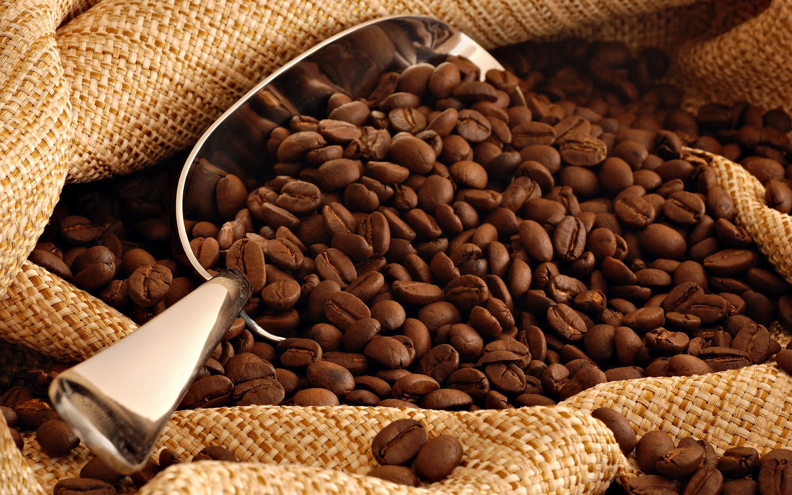 Detail Coffee Beans Hd Nomer 34