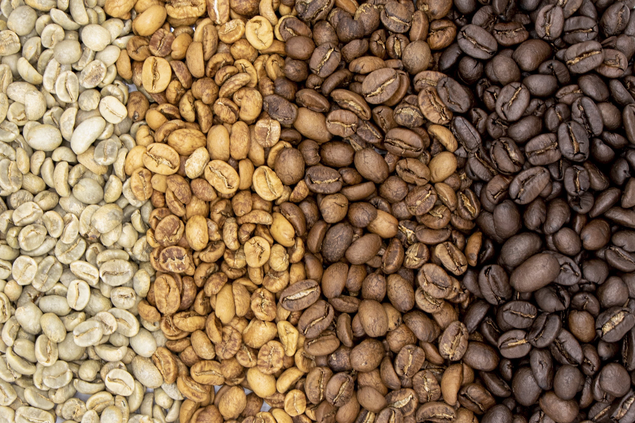 Detail Coffee Beans Image Nomer 29
