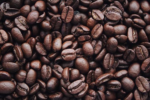 Detail Coffee Beans Pics Nomer 3