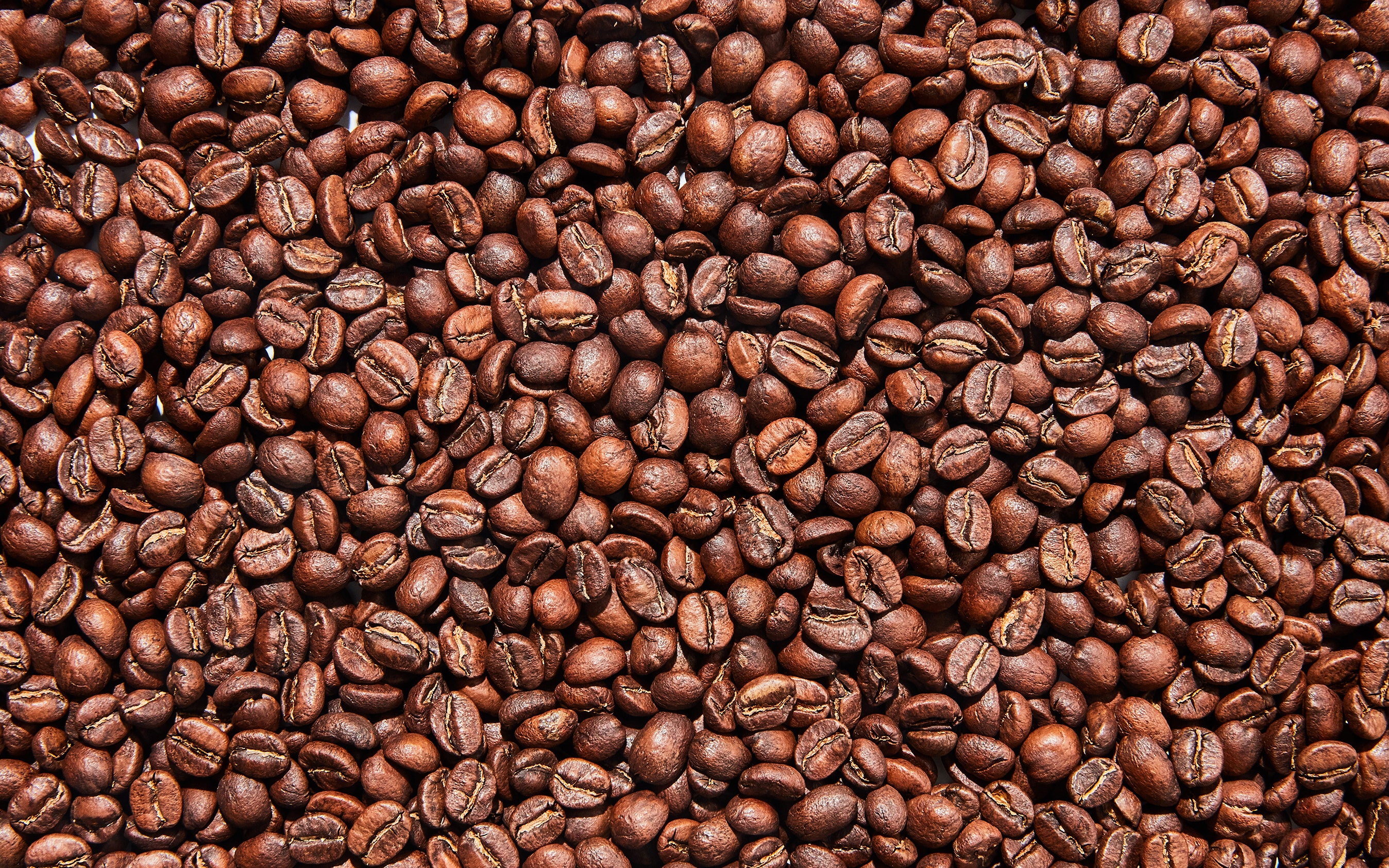 Detail Coffee Beans Pics Nomer 5