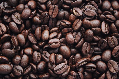Detail Coffee Beans Picture Nomer 5
