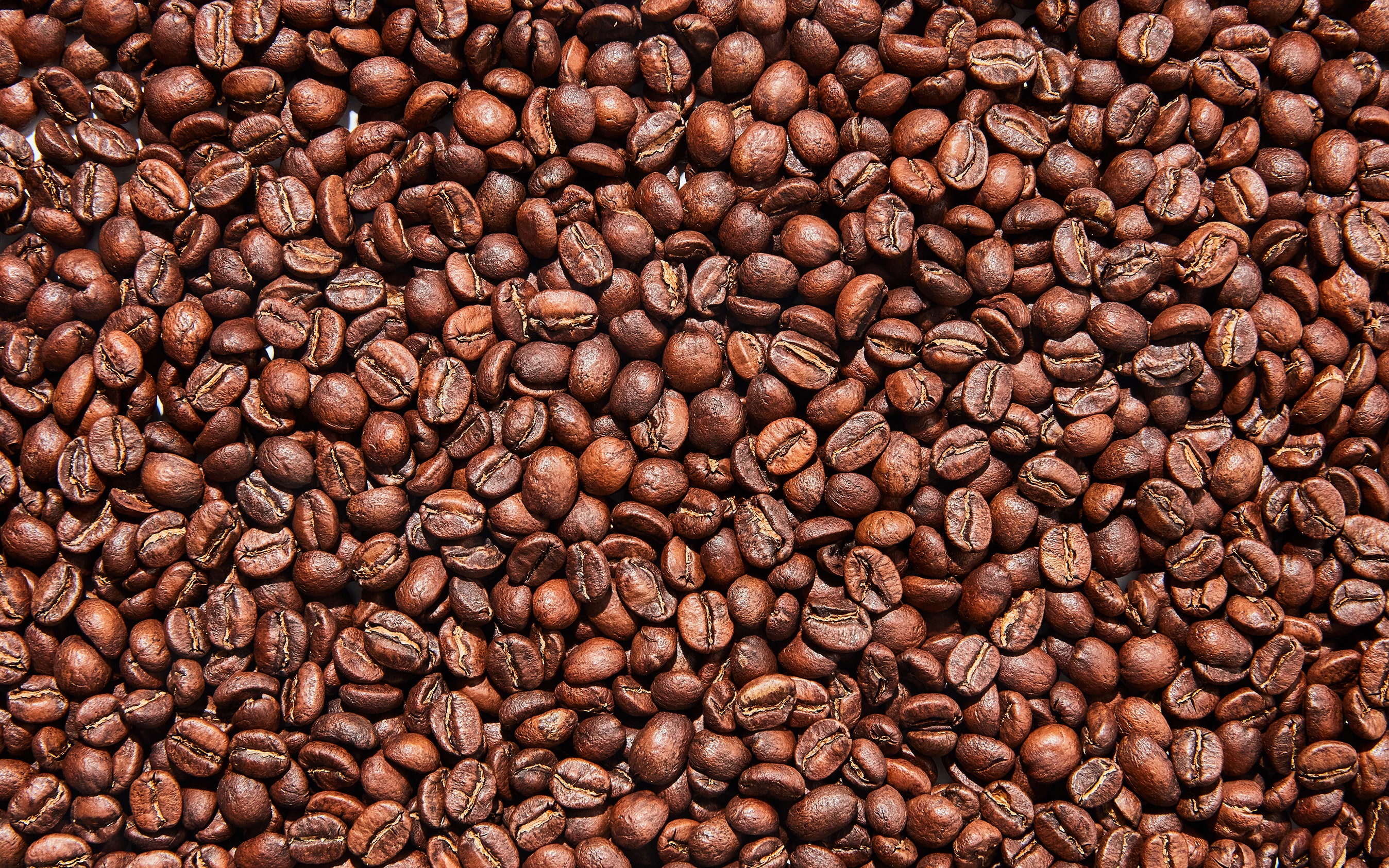 Detail Coffee Beans Picture Nomer 6