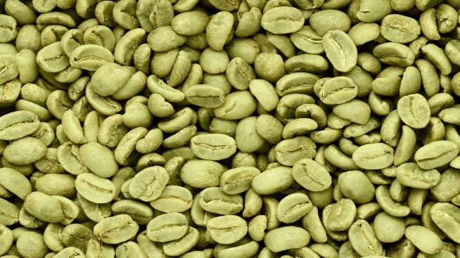 Detail Coffee Beans Plants Pictures Nomer 22