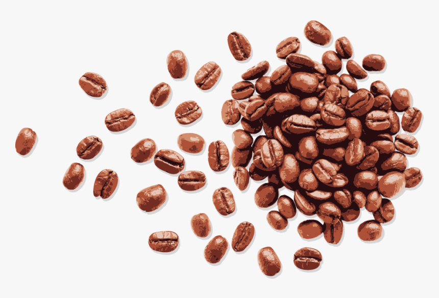 Detail Coffee Beans Transparent Nomer 6