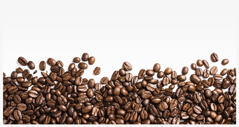Detail Coffee Beans Transparent Nomer 8