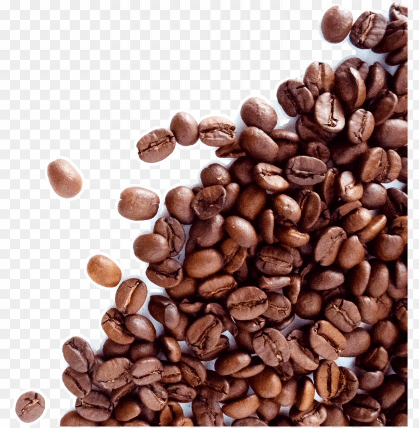 Coffee Beans Transparent Background - KibrisPDR