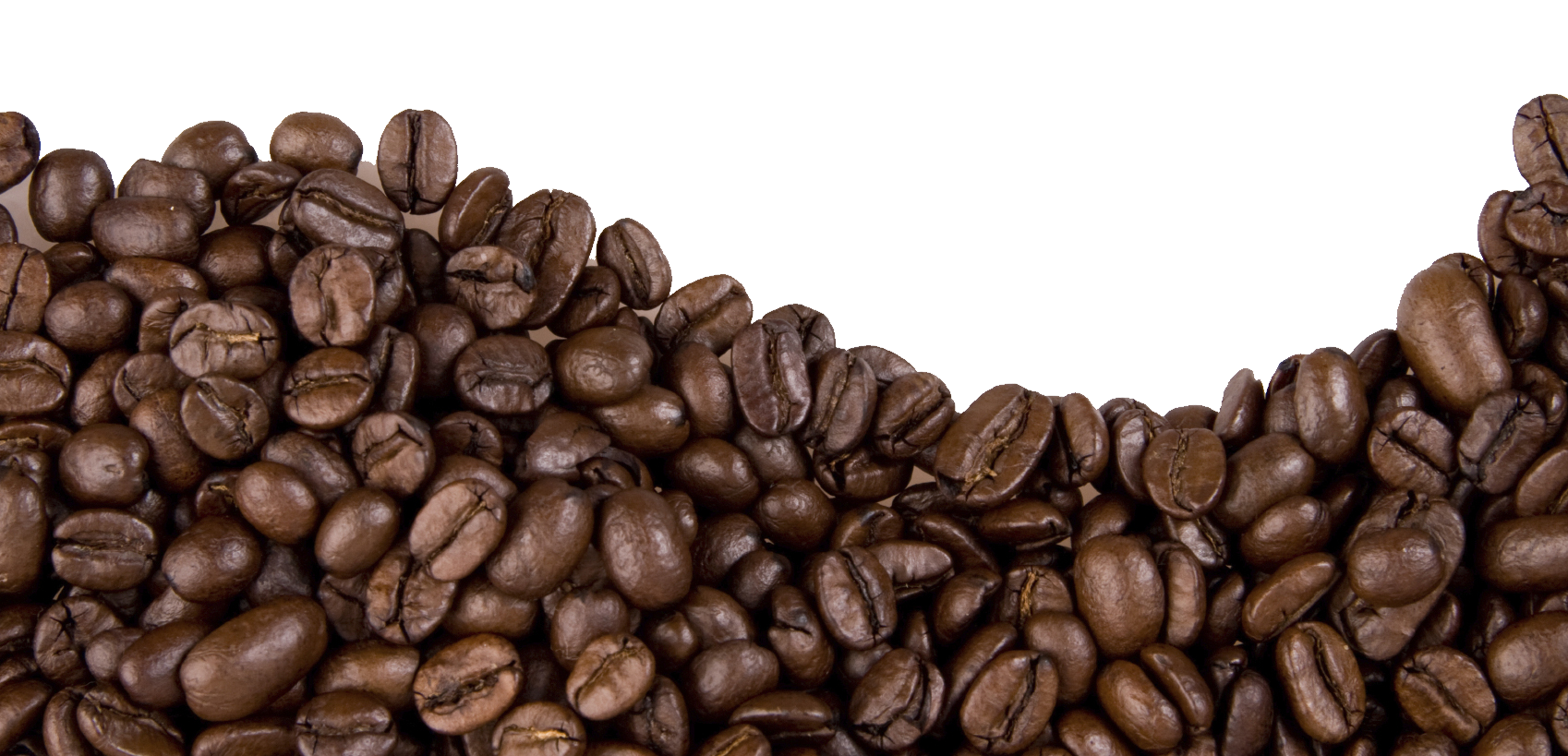 Detail Coffee Beans Transparent Background Nomer 10