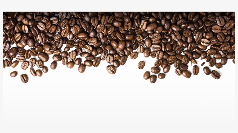 Detail Coffee Beans Transparent Background Nomer 11