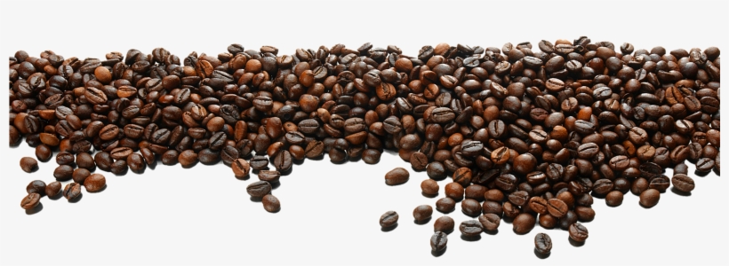 Detail Coffee Beans Transparent Background Nomer 17