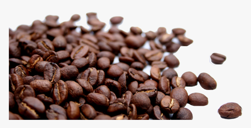 Detail Coffee Beans Transparent Background Nomer 20