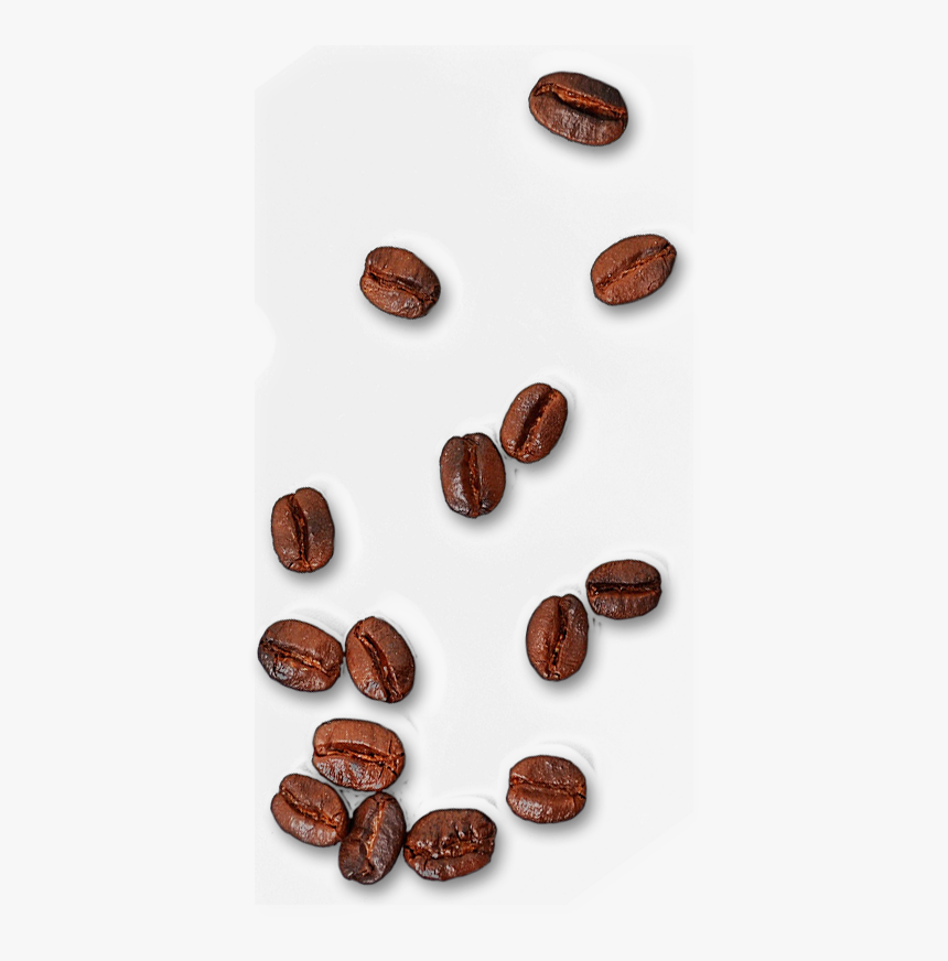 Detail Coffee Beans Transparent Background Nomer 25