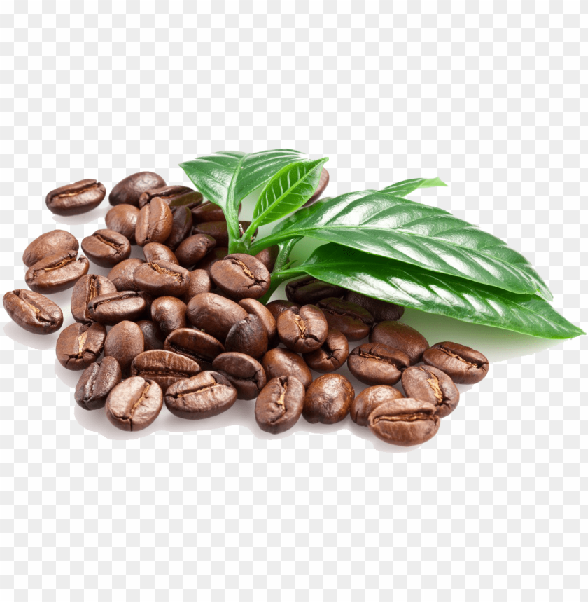 Detail Coffee Beans Transparent Background Nomer 26