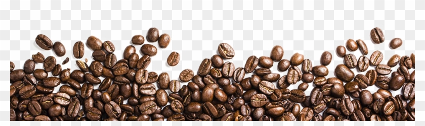 Detail Coffee Beans Transparent Background Nomer 27