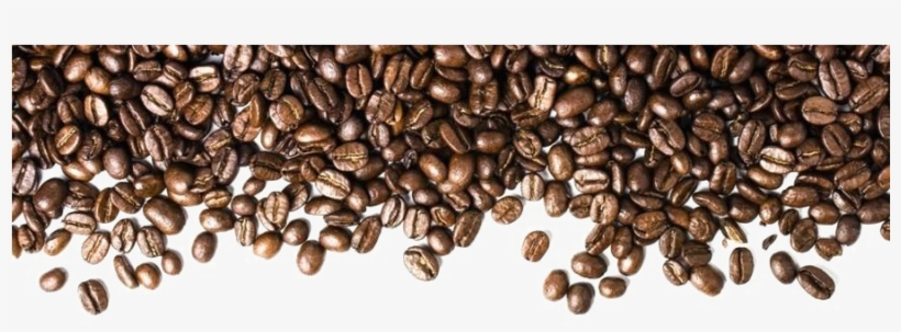 Detail Coffee Beans Transparent Background Nomer 29