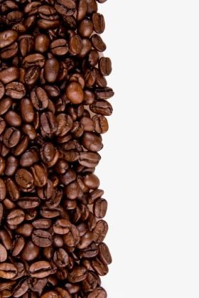 Detail Coffee Beans Transparent Background Nomer 30