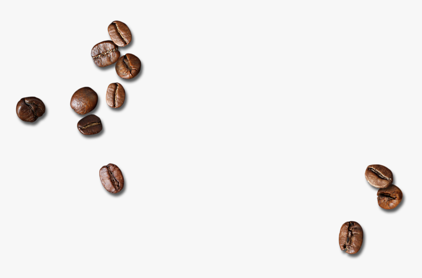 Detail Coffee Beans Transparent Background Nomer 31