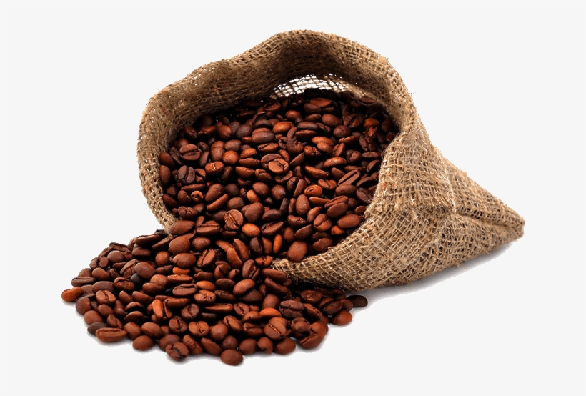 Detail Coffee Beans Transparent Background Nomer 3