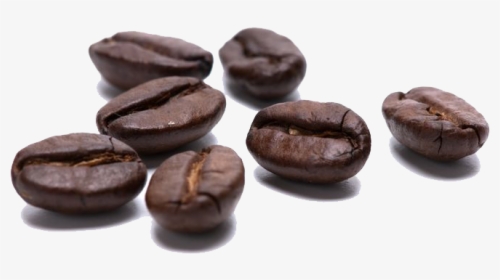 Detail Coffee Beans Transparent Background Nomer 37