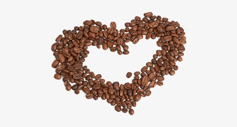 Detail Coffee Beans Transparent Background Nomer 38