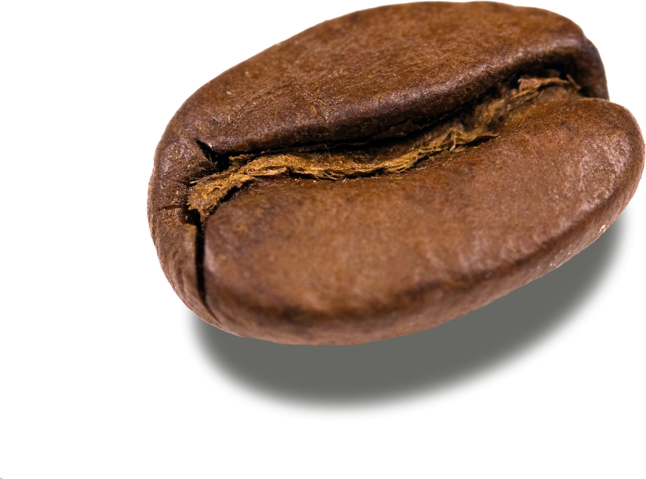 Detail Coffee Beans Transparent Background Nomer 41